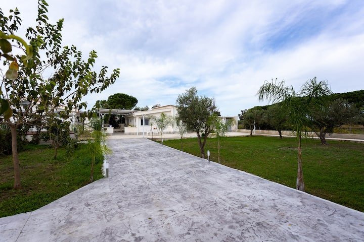 e9559eea-3383-4515-8fe9-afa8db3bb1d4